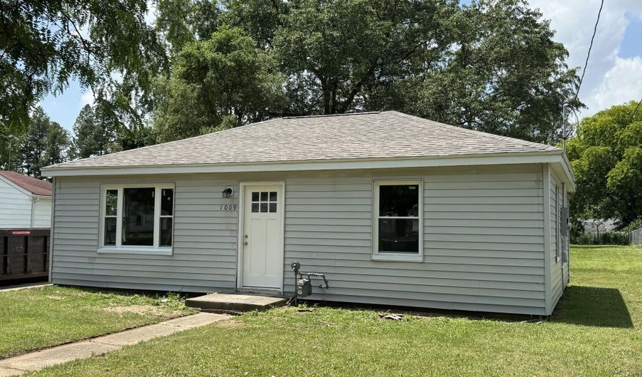 1009 N Mingo St, Albion, MI 49224 - 3 Beds, 1 Bath