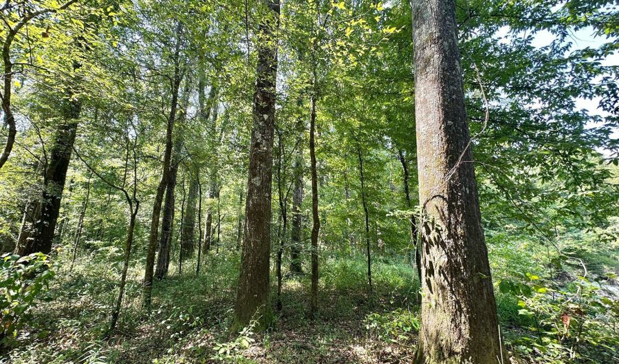 2 Champion Hill Rd, Bolton, MS 39041 - 0 Beds, 0 Bath