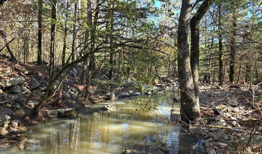 2 TBD Henderson Mill Rd, Bates, AR 72958 - 0 Beds, 0 Bath