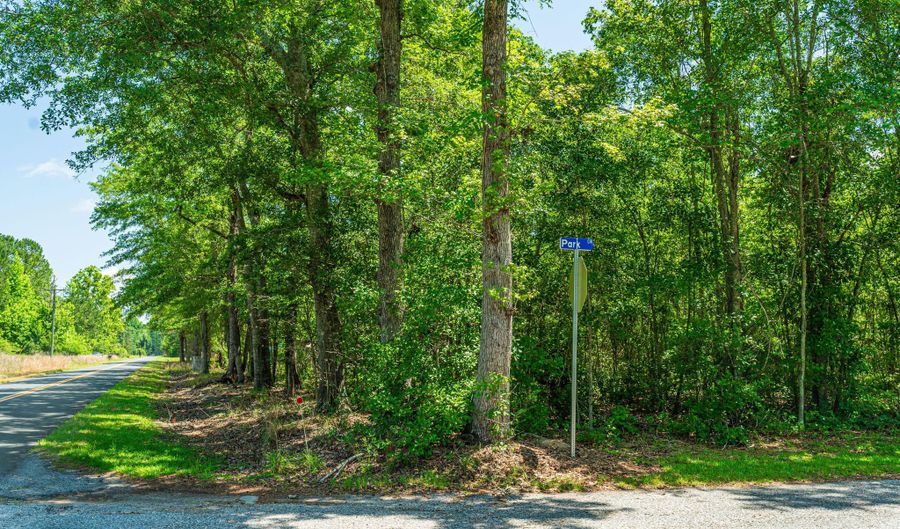 1 Mcalhany Rd, Branchville, SC 29432 - 0 Beds, 0 Bath
