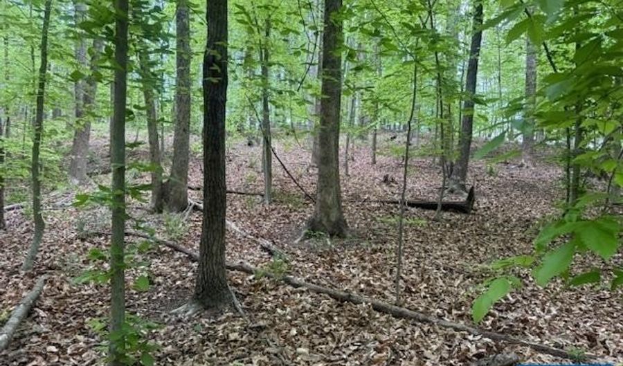 3220 SPOTSWOOD Trl Lot 5, Barboursville, VA 22923 - 0 Beds, 0 Bath