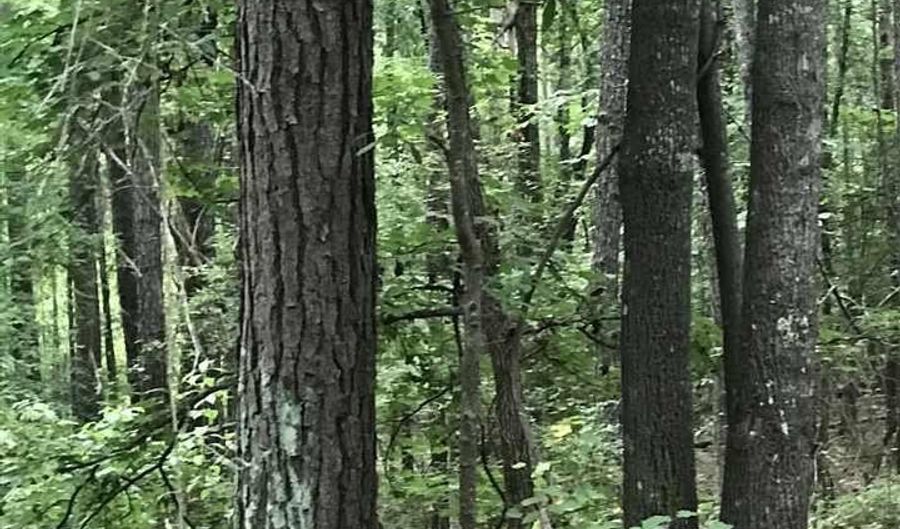 LAKESIDE LANE lot 19, Alpine, AL 35014 - 0 Beds, 0 Bath