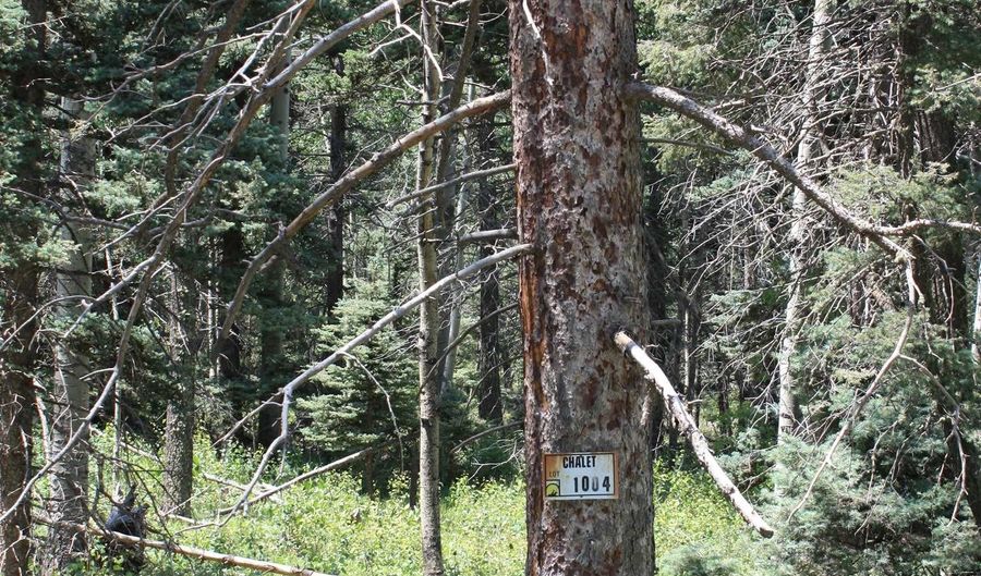 El Camino Real, Angel Fire, NM 87710 - 0 Beds, 0 Bath