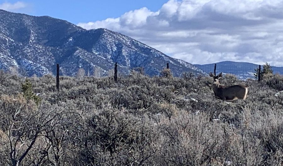 Mariposa, Arroyo Seco, NM 87514 - 0 Beds, 0 Bath