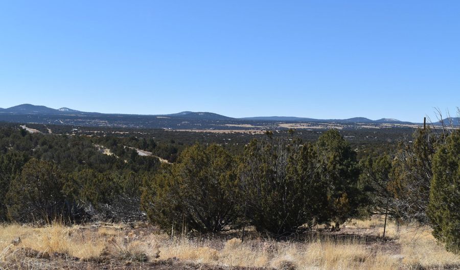 Tbd Stanford Road, Concho, AZ 85924 - 0 Beds, 0 Bath