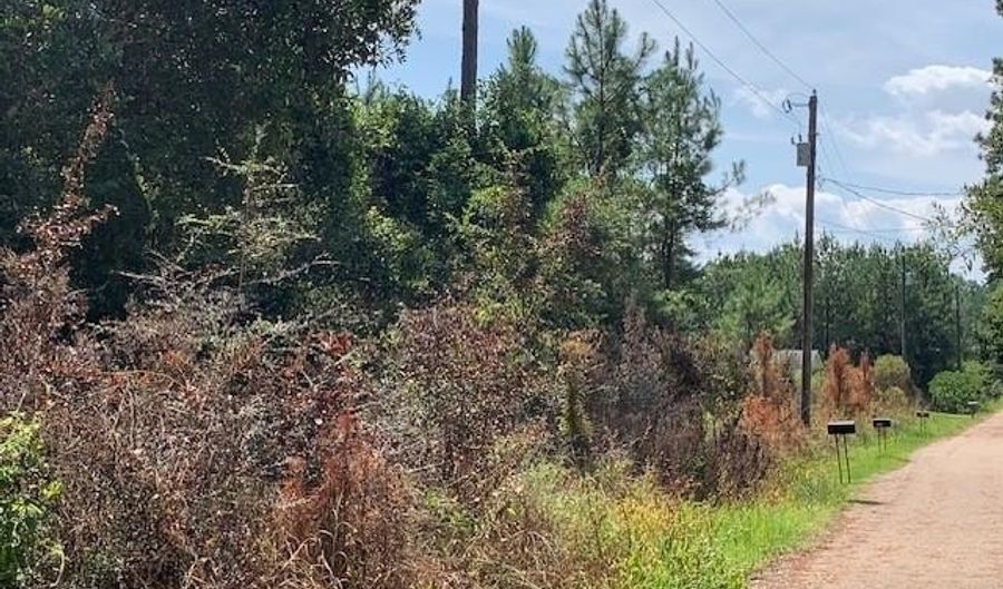 SQ 30 CRAIN Street lot 30-34, Abita Springs, LA 70420 - 0 Beds, 0 Bath