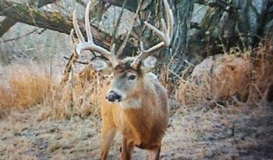 N3953-89 Bear Pen Road, Arkansaw, WI 54721 - 0 Beds, 0 Bath