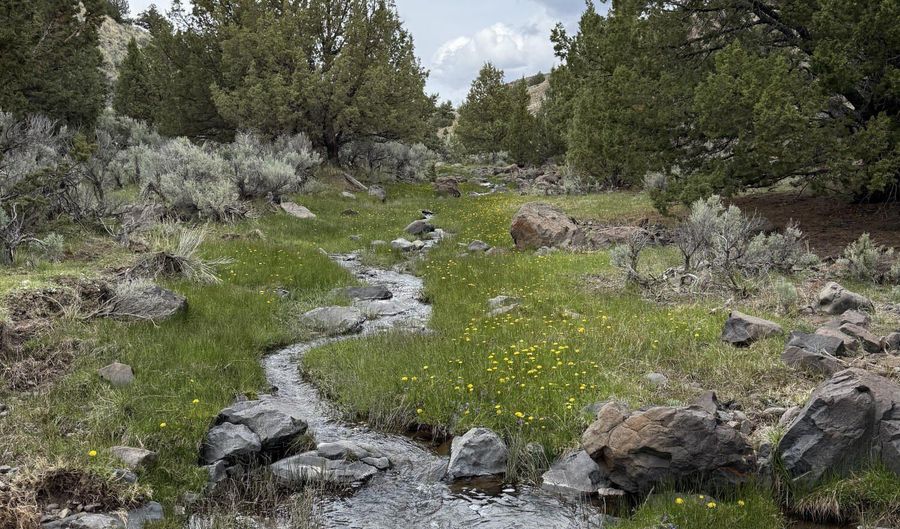 Wall Canyon Reservoir Road, Gerlach, NV 89412 - 0 Beds, 0 Bath