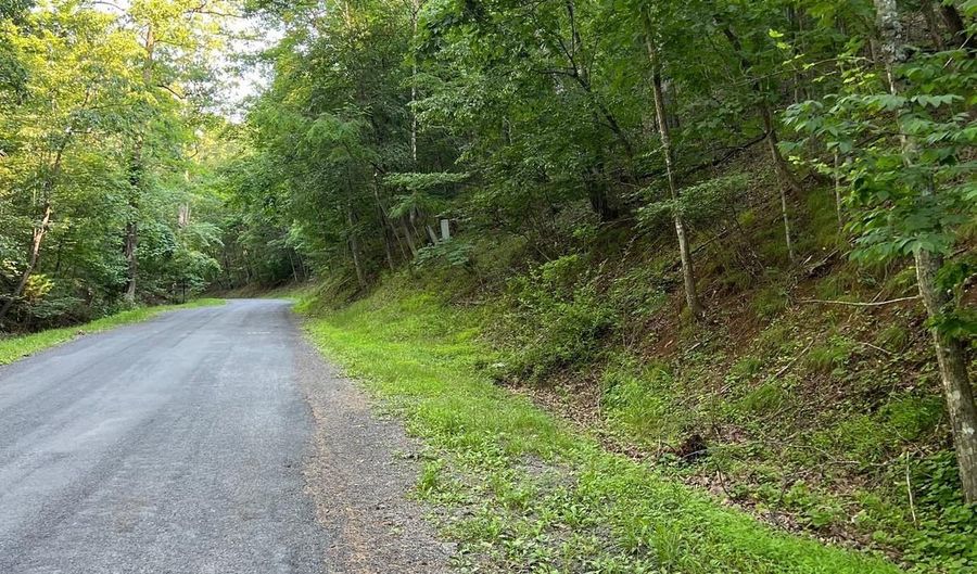 Lot 161 LEE RD, Basye, VA 22810 - 0 Beds, 0 Bath