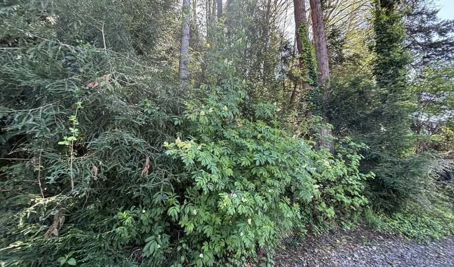 Crestline Loop, Brookings, OR 97415 - 0 Beds, 0 Bath