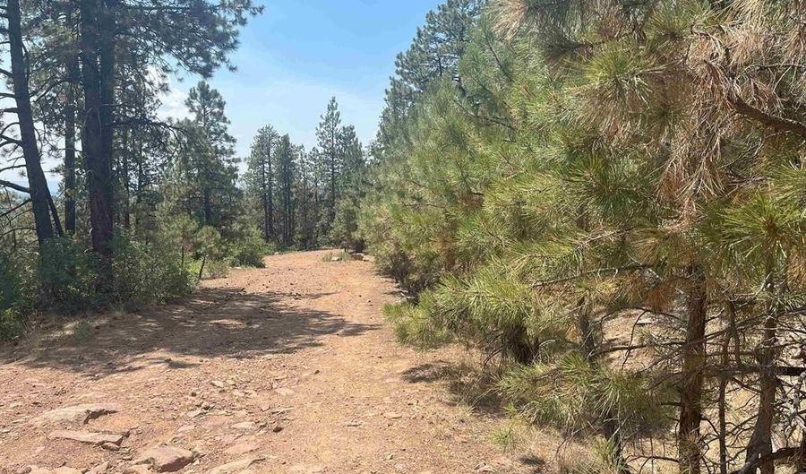 17 Snow Way Dr, Bayfield, CO 81122 - 0 Beds, 0 Bath