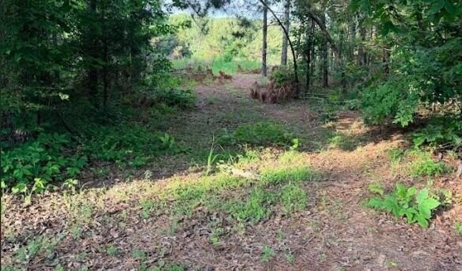 County Road 167, Baldwyn, MS 38824 - 0 Beds, 0 Bath
