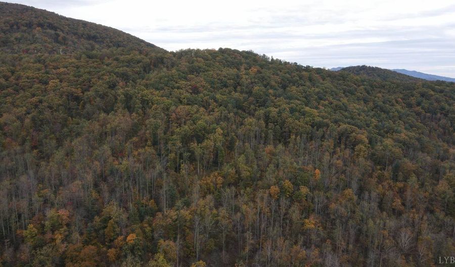 0 N Forks Rd, Amherst, VA 24521 - 0 Beds, 0 Bath