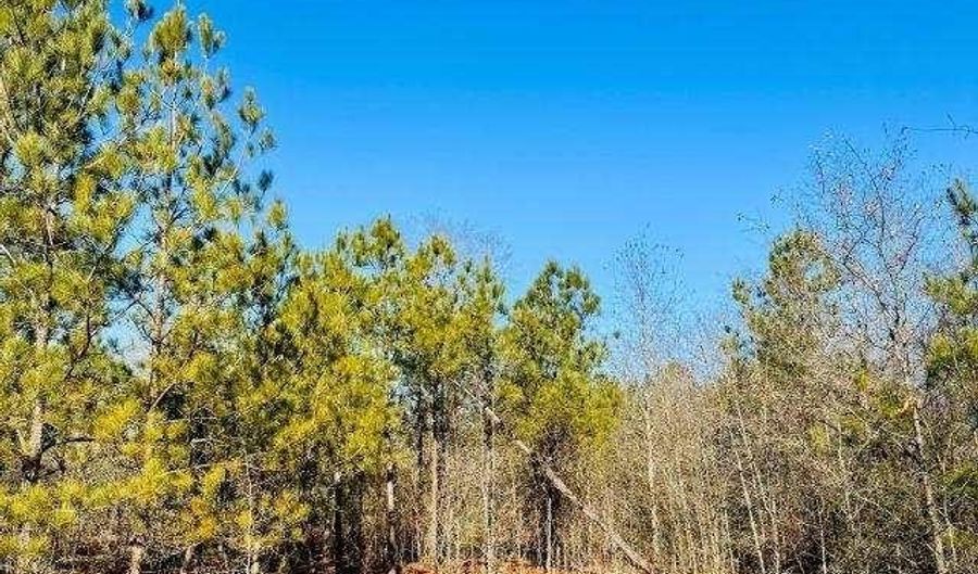 Old Wire Road West, Bennettsville, SC 29512 - 0 Beds, 0 Bath