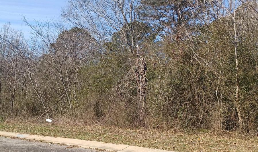 3299 HILLCREST Pl 12, Adamsville, AL 35005 - 0 Beds, 0 Bath