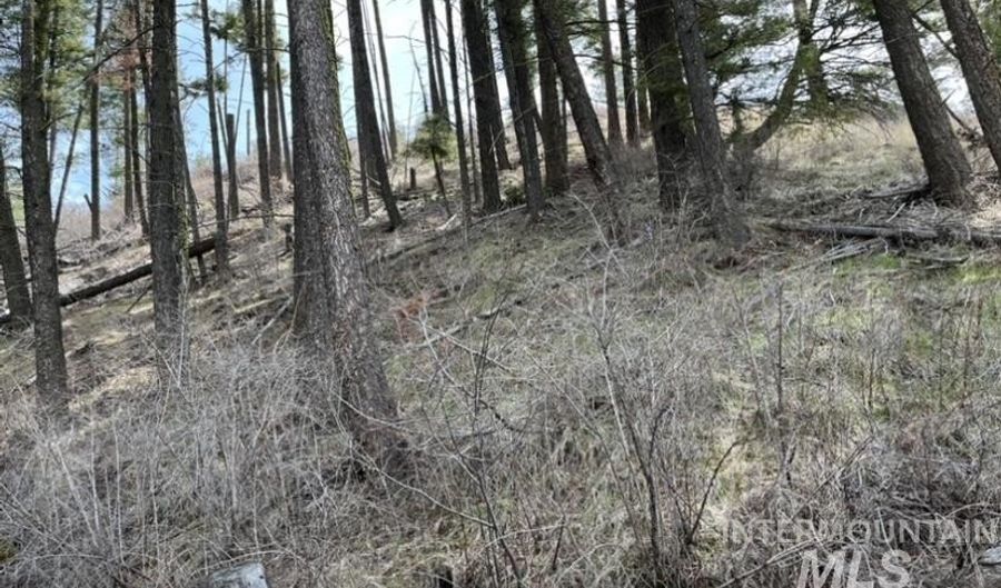 State Highway 129, Anatone, WA 99401 - 0 Beds, 0 Bath