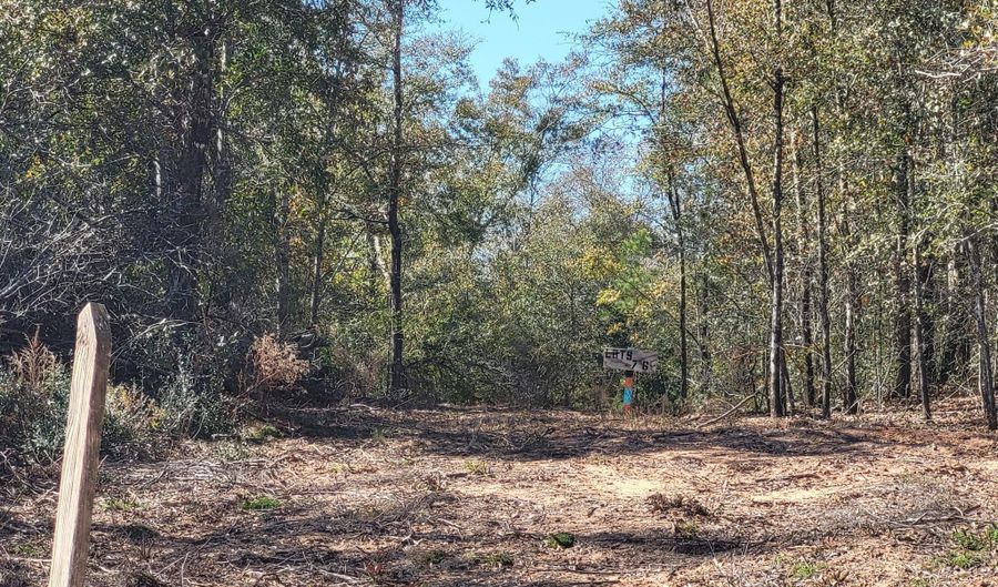 NW Womble Road lot 8, Altha, FL 32421 - 0 Beds, 0 Bath