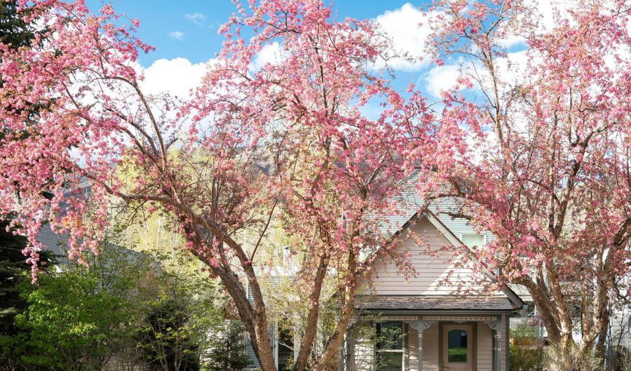 1006 E Cooper Ave, Aspen, CO 81611 - 4 Beds, 4 Bath