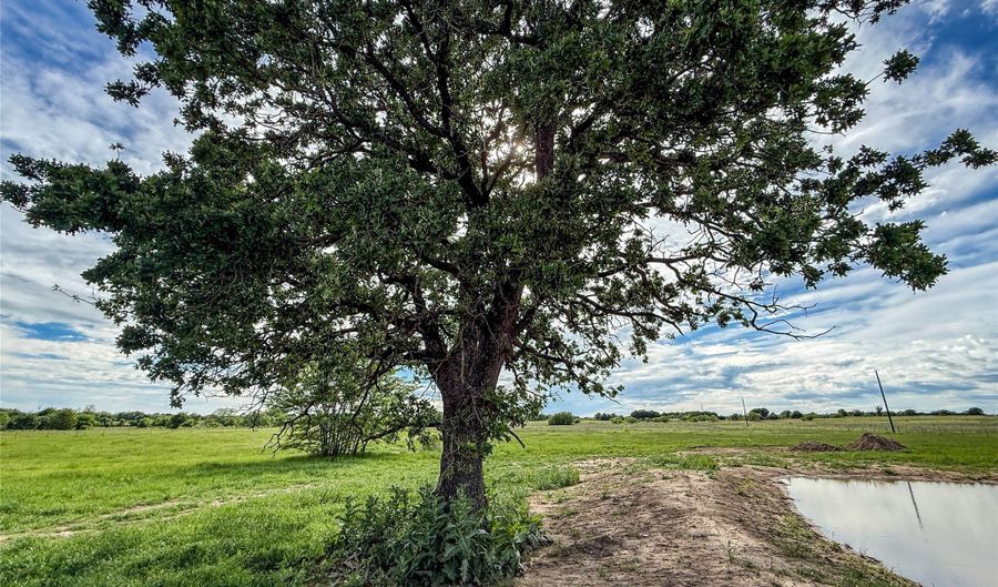 424 County Road 1475, Alvord, TX 76225 - 0 Beds, 0 Bath