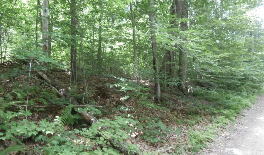 Lot 005 Hebo Hybo Road, Acton, ME 04001 - 0 Beds, 0 Bath
