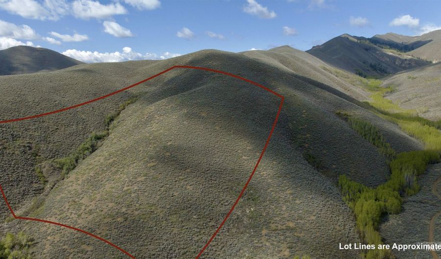 Lees Gulch Rd, Bellevue, ID 83313 - 0 Beds, 0 Bath