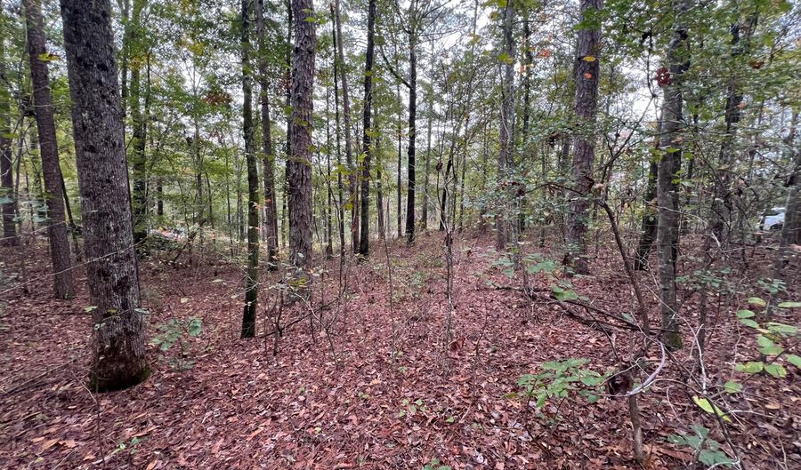 141 144 COUNTY RD 219, Arley, AL 35541 - 0 Beds, 0 Bath