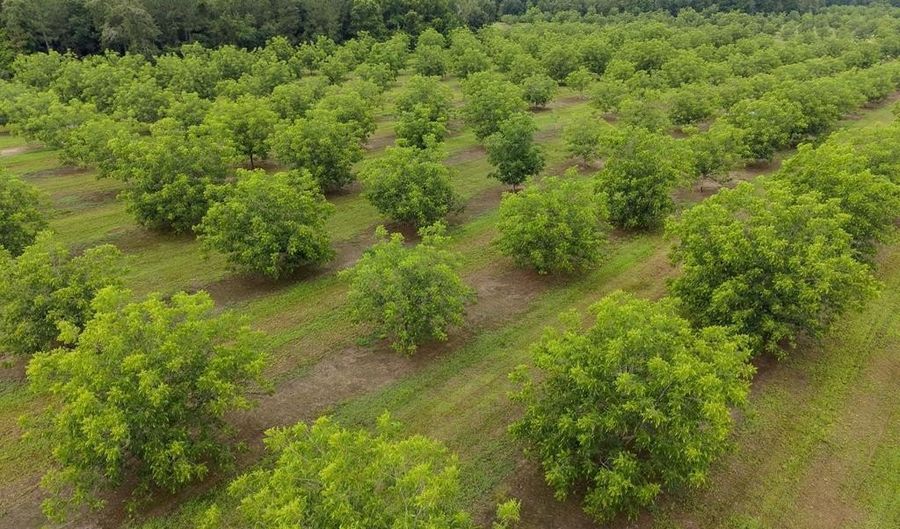 9953 Gravel Hl, Baconton, GA 31716 - 0 Beds, 0 Bath