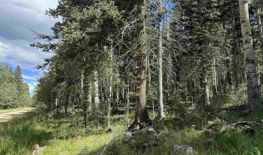 Lot 23 Elk Ridge Road, Angel Fire, NM 97710 - 0 Beds, 0 Bath