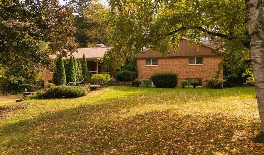 1365 Chalmers Dr, Ann Arbor, MI 48104 - 4 Beds, null Bath