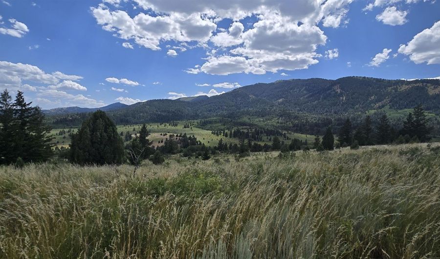 Lot10 Caribou NF Rd 36, Bancroft, ID 83217 - 0 Beds, 0 Bath