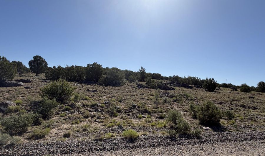 Lot 49 Windsor valley Ranch Drive, Concho, AZ 85924 - 0 Beds, 0 Bath