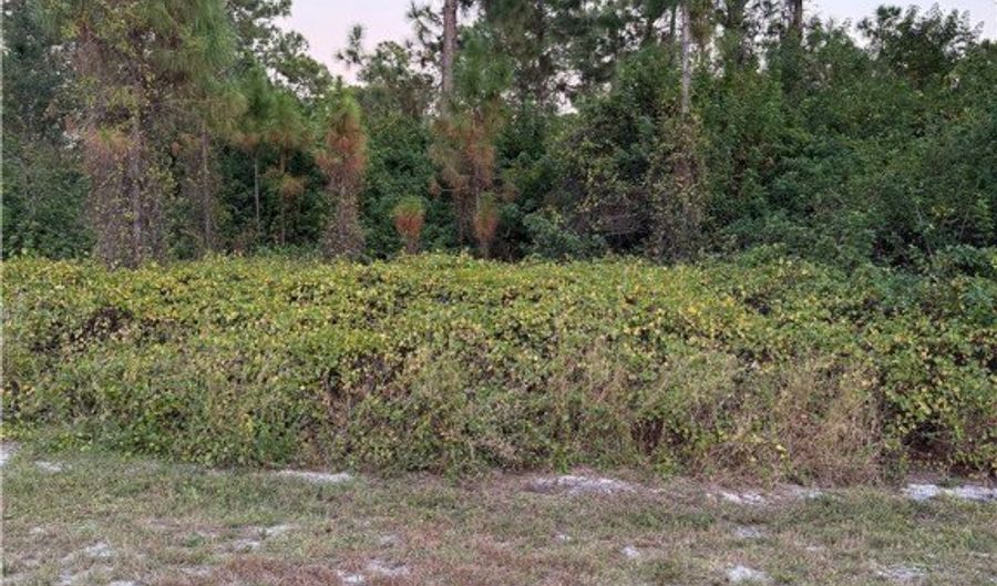 2002 Fitch Ave, Alva, FL 33920 - 0 Beds, 0 Bath