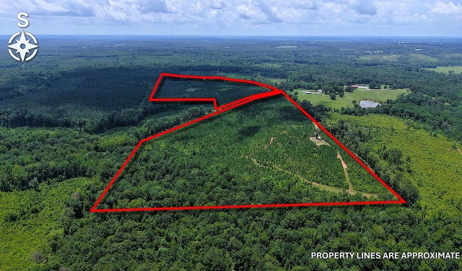 County Road 53, Banks, AL 36005 - 0 Beds, 0 Bath