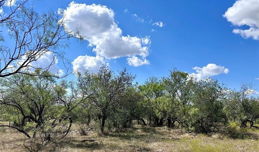 Tbd TBA County Road 100, Abilene, TX 79601 - 0 Beds, 0 Bath