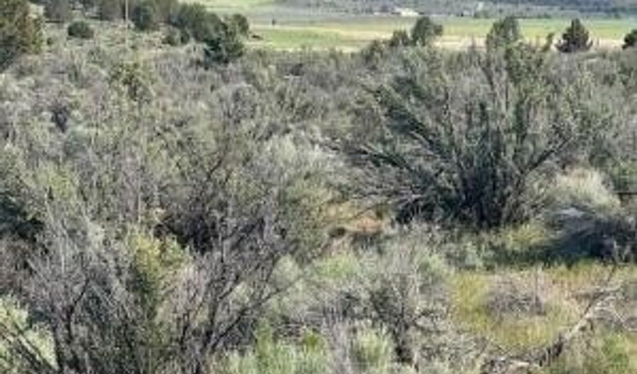 Council Butte lot 8, Beatty, OR 97621 - 0 Beds, 0 Bath