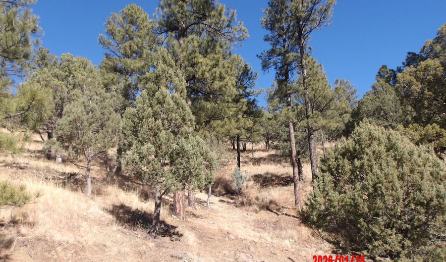 Lake Shore Drive 1, Alto, NM 88312 - 0 Beds, 0 Bath