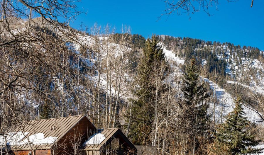 63 Smuggler Grv, Aspen, CO 81611 - 6 Beds, 8 Bath