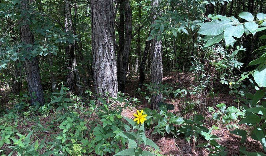 North Palestine Road, Baldwyn, MS 38824 - 0 Beds, 0 Bath