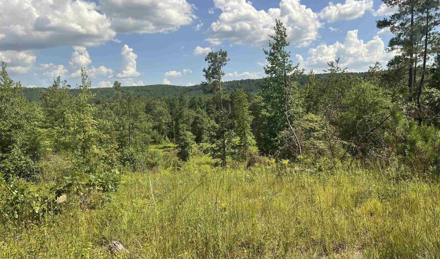776 John Ashley, Amity, AR 71921 - 0 Beds, 0 Bath