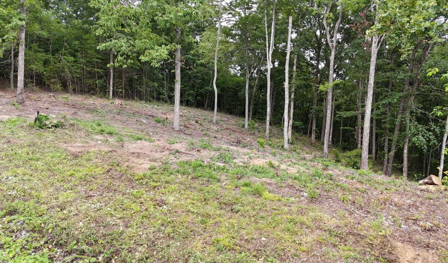 Bayside Boulevard lot 44, Bean Station, TN 37708 - 0 Beds, 0 Bath