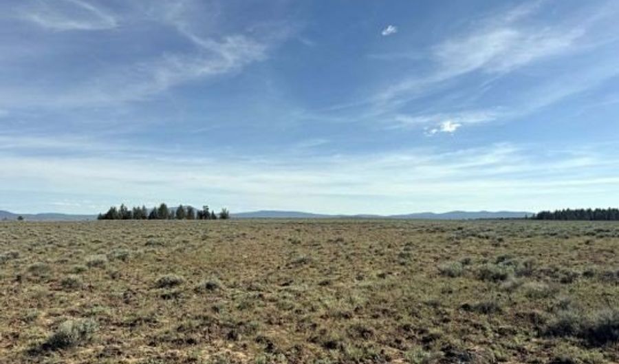 Oregon Pines Road, Beatty, OR 97621 - 0 Beds, 0 Bath