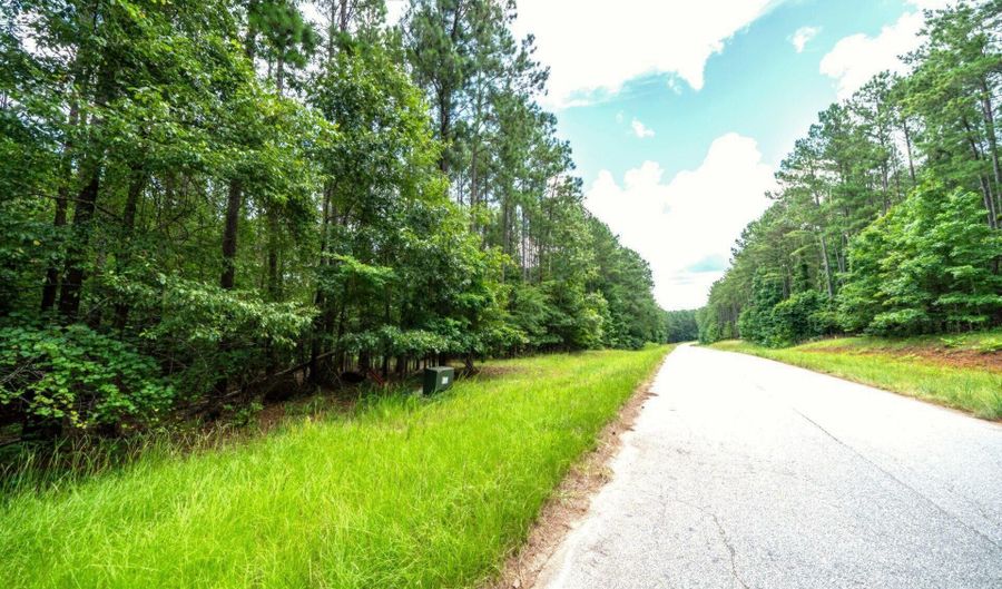 Lot 36 Savannah Ridge Road, Lincolnton, GA 30817 - 0 Beds, 0 Bath