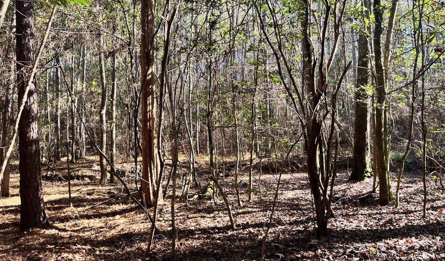 0 Chief Rd, Abbeville, AL 36310 - 0 Beds, 0 Bath