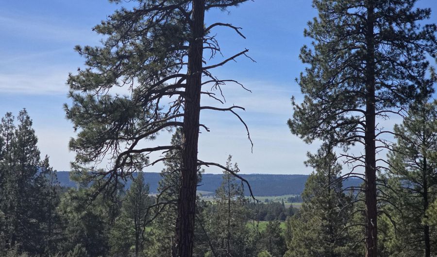 Widgeon Drive 39, Bonanza, OR 97623 - 0 Beds, 0 Bath