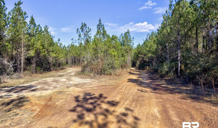 Jones Lane, Bay Minette, AL 36507 - 0 Beds, 0 Bath