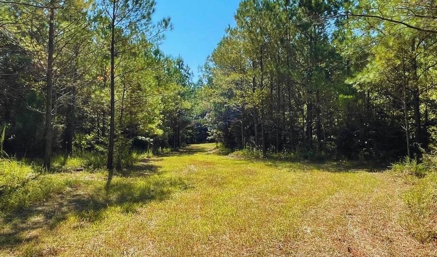 0 CR 320, Big Creek, MS 38914 - 0 Beds, 0 Bath