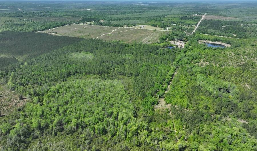 xxx County Hwy 73, Altha, FL 32421 - 0 Beds, 0 Bath