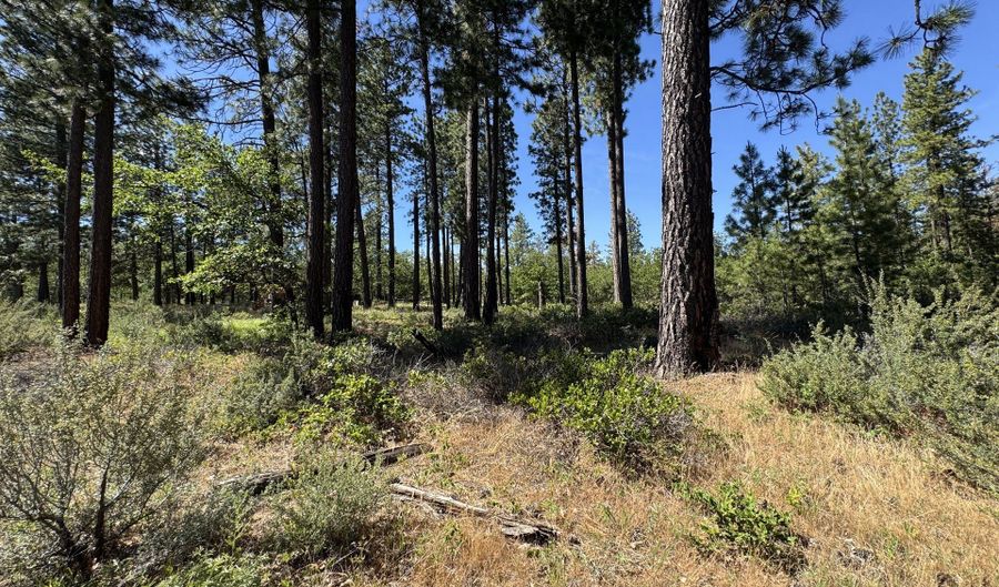 112 TIMBER Rd, Bickleton, WA 99322 - 0 Beds, 0 Bath