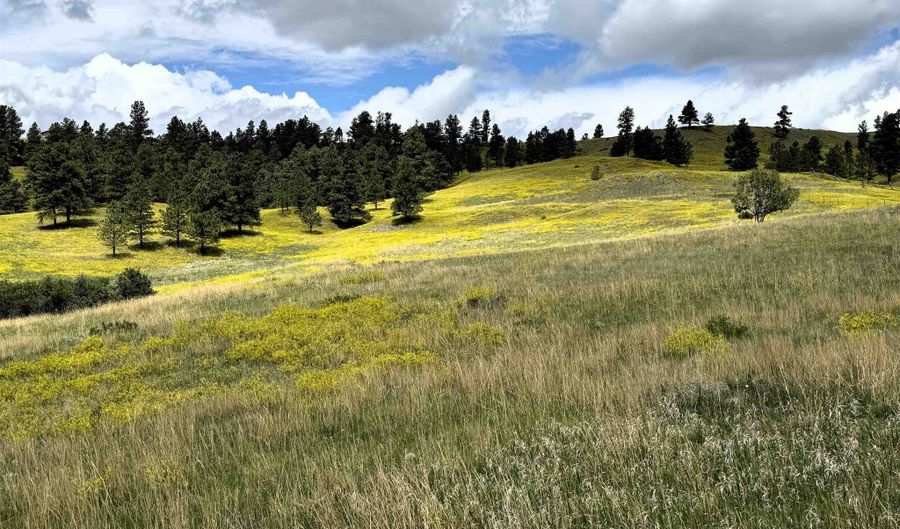 Tower Ridge Rd, Devils Tower, WY 82714 - 0 Beds, 0 Bath
