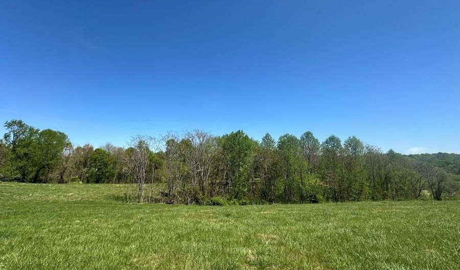 H O Allison lot 9 & 10, Baxter, TN 38544 - 0 Beds, 0 Bath